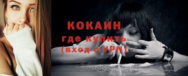таблы Новозыбков