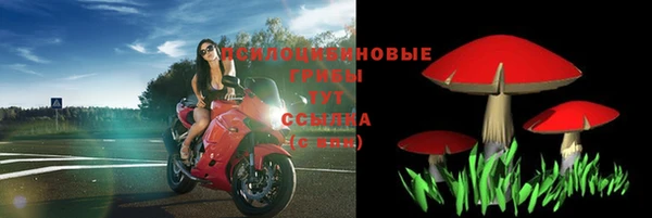 таблы Новозыбков