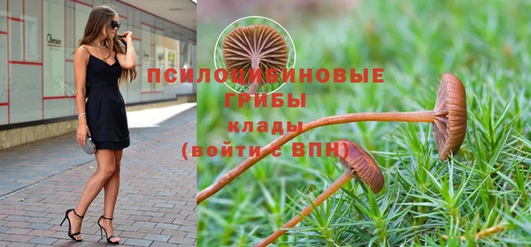 ECSTASY Новокубанск