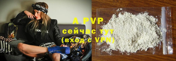 таблы Новозыбков
