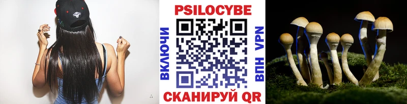 blacksprut ссылка  shop наркотические препараты  Галлюциногенные грибы мухоморы  Новая Усмань 